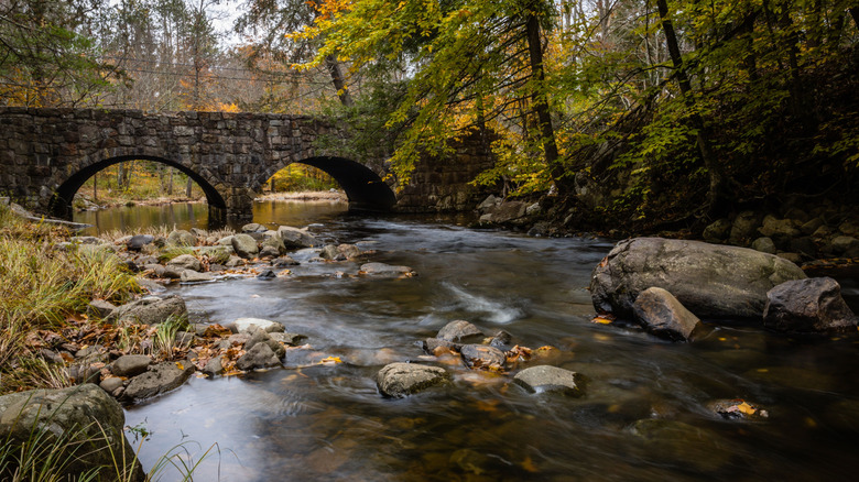 Riiver avec pont de pierre