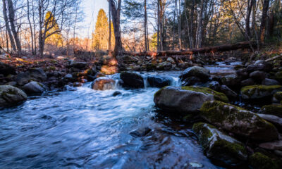La paisible Forest du New Jersey propose du camping à bord du lac entouré de feuillage panoramique