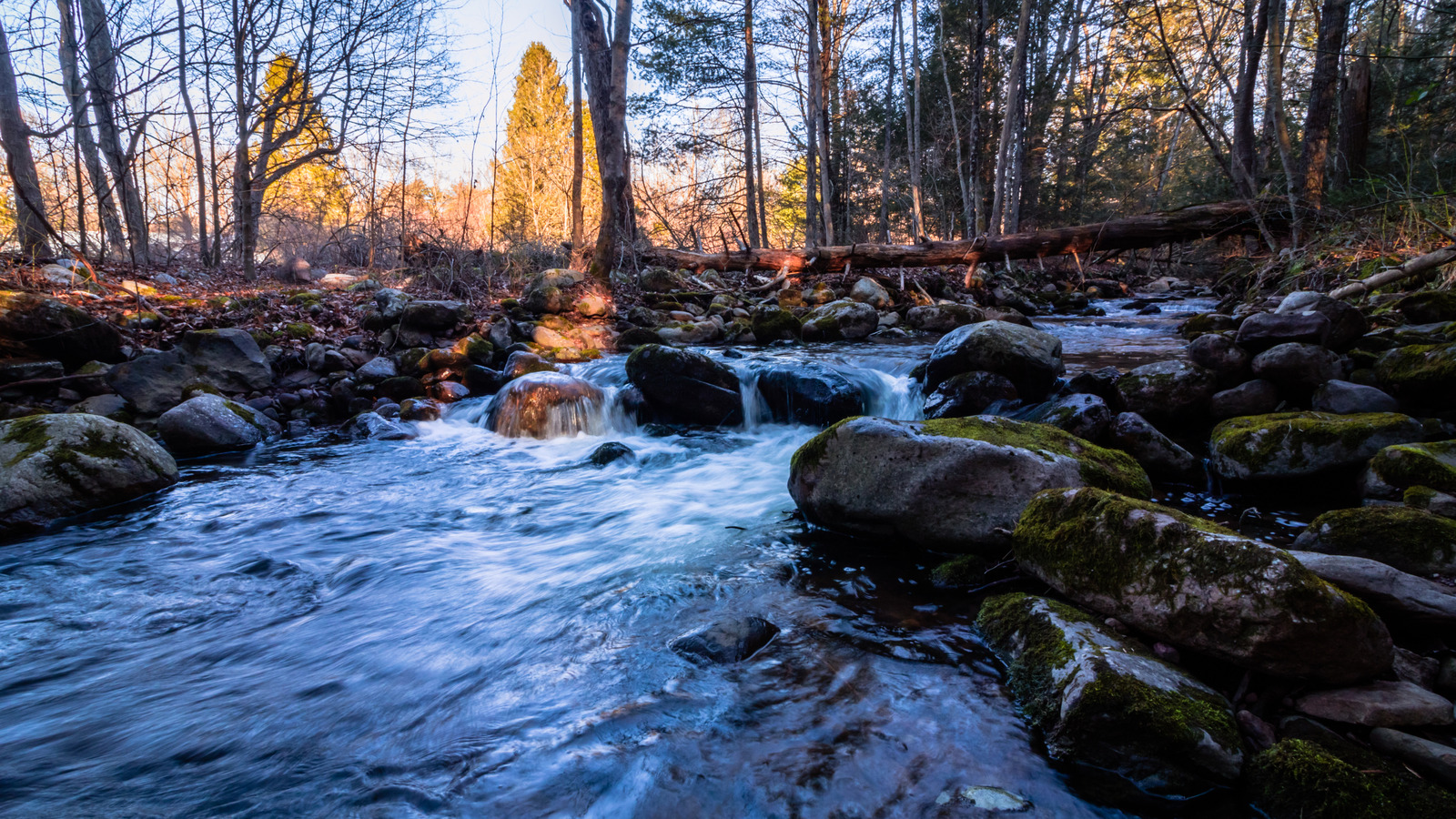 La paisible Forest du New Jersey propose du camping à bord du lac entouré de feuillage panoramique