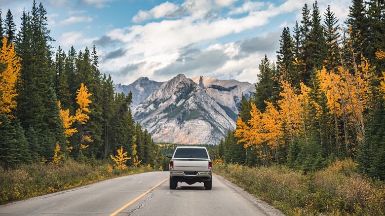 Une voiture roule le long d'une route dans le parc national de Rocky Mountain