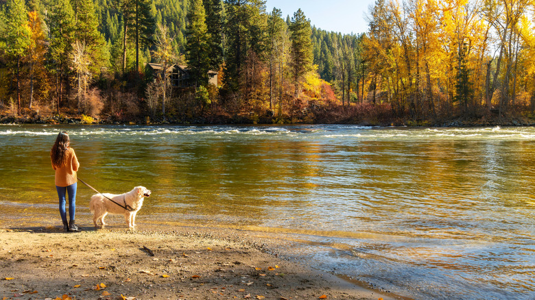 Une jeune femme et son chien le long de la rivière Wenatchee près de Leavenworth, Washington