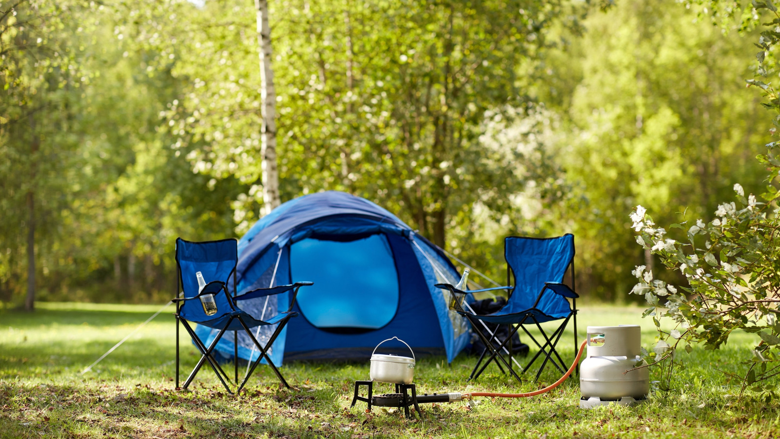 L'appareil de cuisine budgétaire de Costco est un cheval de bataille portable pour votre prochain voyage de camping