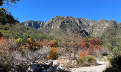 Ce canyon pittoresque dans le parc national des montagnes de Guadalupe possède de magnifiques couleurs à l'automne
