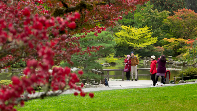 Des gens se promenant dans le jardin japonais Arboretum de Washington Park