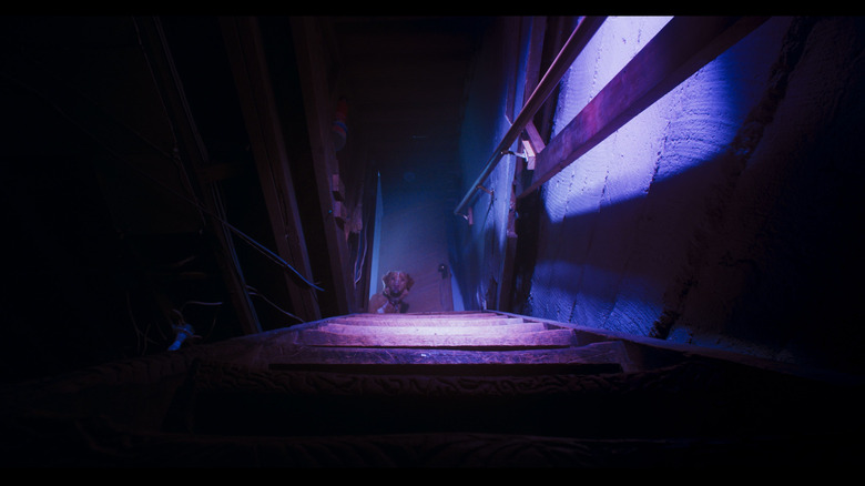 Indy regarde les étapes du sous-sol en bon garçon