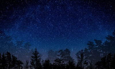 Cette règle de stationnement tacite est cruciale pour aider tout le monde à profiter des étoiles dans Dark Sky Parks