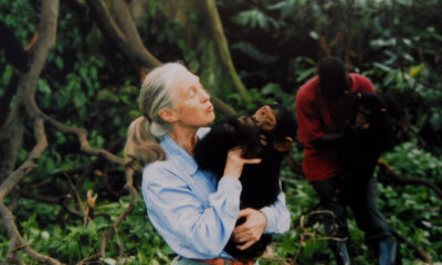 Ce parc national unique a inspiré la recherche renommée du chimpanzé du Dr Jane Goodall