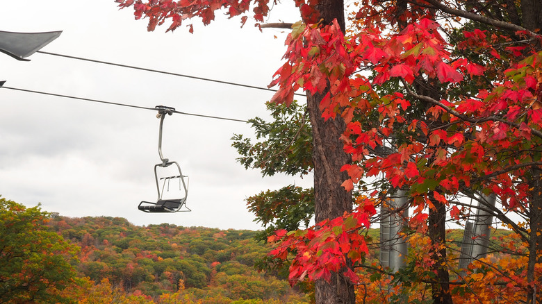 Un télésiège voyageant à travers le feuillage d'automne.
