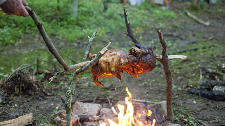 poulets rôtissant sur le feu de camp à la broche à base de bâtons