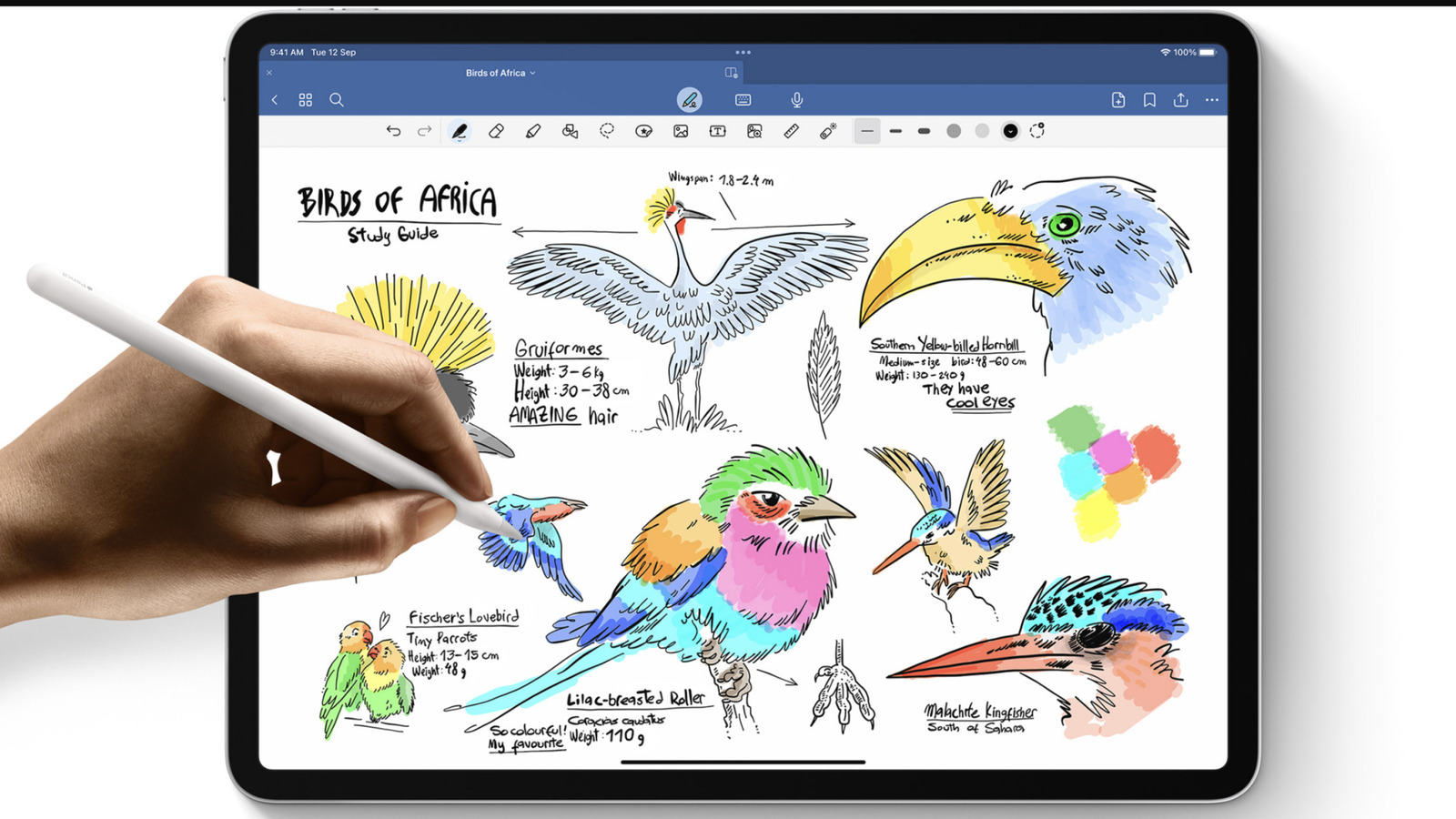 Les offres d'Apple Amazon Prime Day sont déjà là: Enregistrez-vous en gros sur iPad, Apple Watch et plus