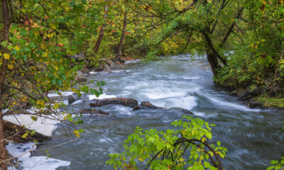 Cette ville pittoresque de New York Finger Lakes propose un charmant vergeur de pommiers du centre-ville et pittoresque