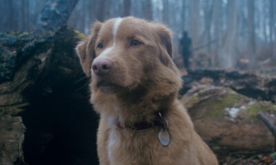 Comment le bon garçon s'attaque à la plus grande peur du film d'horreur de tout le monde