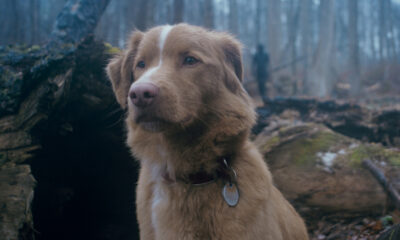 Une légende de l'horreur indie a un camée effrayant en bon garçon