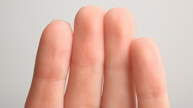 Gros plan des doigts humains sur un fond gris