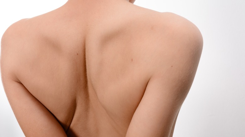 Gros plan du haut du dos et des épaules