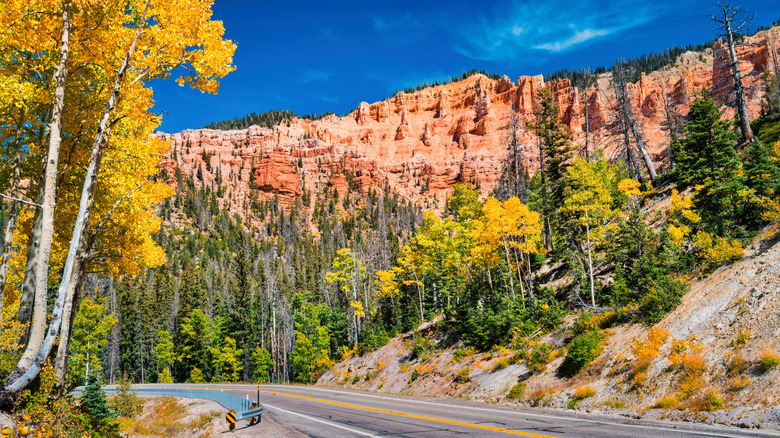 Route sous les arbres dorés et la falaise rock rouge