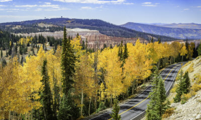 Le feuillage d'automne magnifique et coloré abonde dans ce monument national sous-estimé de l'Utah