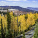 Le feuillage d'automne magnifique et coloré abonde dans ce monument national sous-estimé de l'Utah