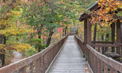 Faites de la randonnée au plus haut sommet de l'Alabama dans ce parc d'État pittoresque dans les montagnes des Appalaches