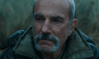 La fin de l'anémone expliquée : la honte interne est une force écrasante de la nature