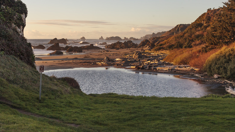 vue du coucher du soleil sur le parc national de Harris Beach, Oregon