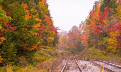 Ce trajet en train panoramique offre de magnifiques vues du feuillage d'automne à travers les Adirondacks de New York