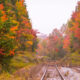 Ce trajet en train panoramique offre de magnifiques vues du feuillage d'automne à travers les Adirondacks de New York