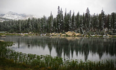 Cette région sauvage sous-estimée du lac californien est un joyau de randonnée rempli de pins magnifiques