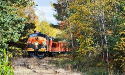 Profitez des paysages à couper le souffle du Wisconsin et du feuillage d'automne lors de ce trajet en train pittoresque