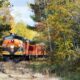 Profitez des paysages à couper le souffle du Wisconsin et du feuillage d'automne lors de ce trajet en train pittoresque