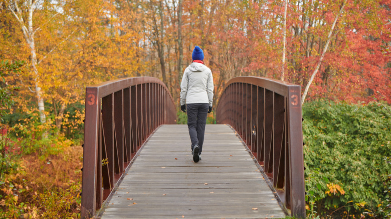 Feuillage d'automne devant un randonneur traversant un pont le long du sentier récréatif de Stowe à Stowe, Vermont, en automne