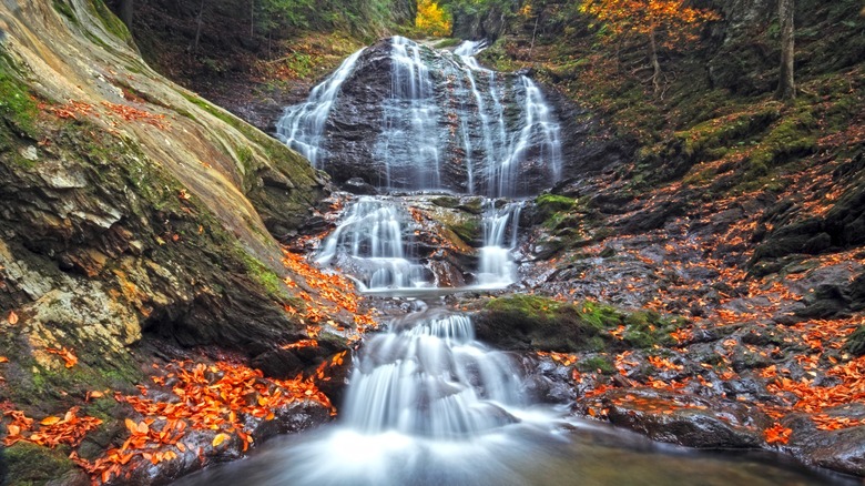 Moss Glen Falls, la plus haute cascade du Vermont, entourée de feuilles mortes colorées en automne dans la ville de Stowe, Vermont