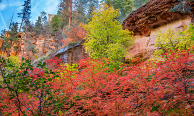 Pourquoi les amateurs de feuilles et les amoureux de la nature adoreront visiter Sedona, en Arizona, à l'automne