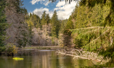 Le parc d'État niché de Washington est un havre de plein air offrant un camping et une pêche sereins