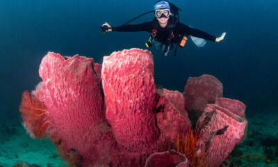 8 animaux qui ne font pas caca (et ce qu'ils font à la place)