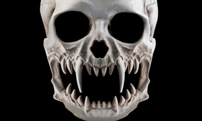 Les humains pourraient-ils un jour devenir venimeux ?