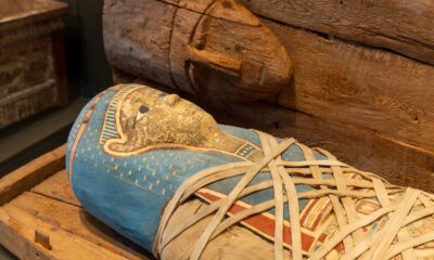 Voici pourquoi les momies ne se décomposent pas