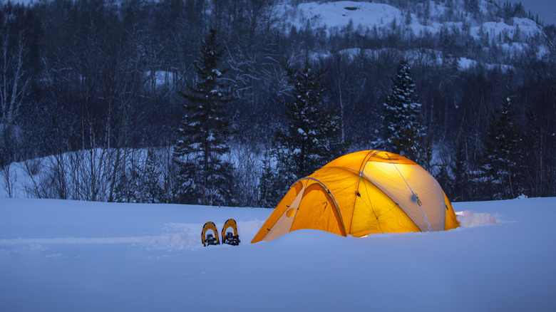 Tente éclairée au milieu de la neige du Canada