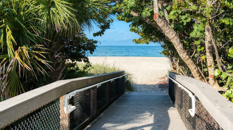 Une passerelle ombragée vers la plage de Nokomis