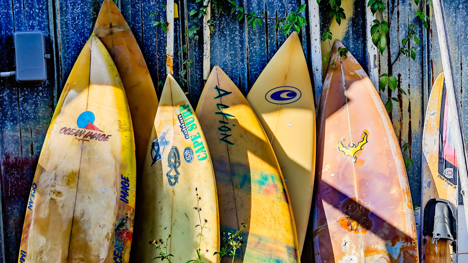 Cette ville cool entre Sarasota et Venise possède le meilleur surf de la côte ouest de la Floride