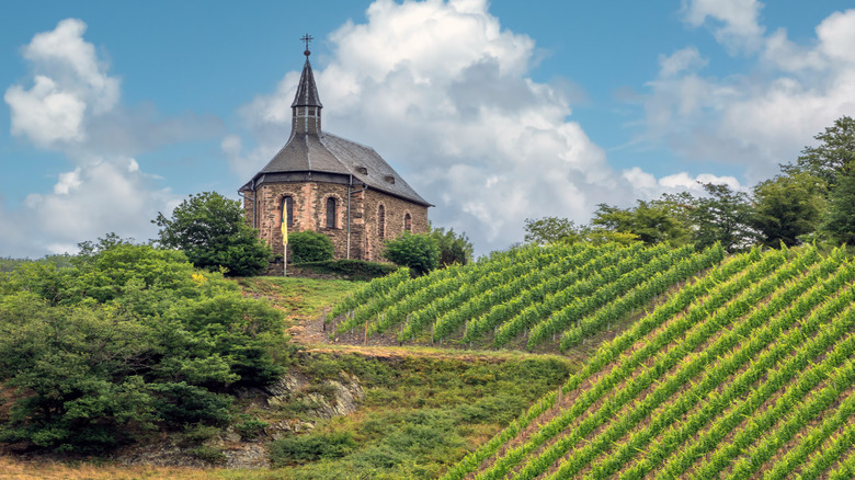 Église au sommet d'une colline viticole à Bacharach, Allemagne