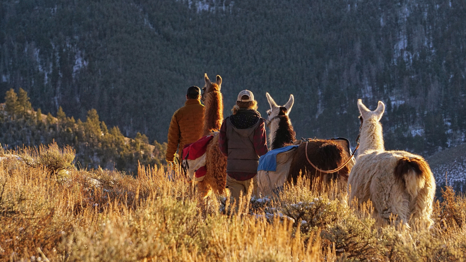 Cette organisation à but non lucratif offre une expérience de randonnée unique sur le PCT aux personnes atteintes de la maladie de Parkinson