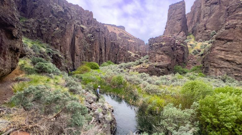 Canyon désertique dans le sud-ouest de l'Idaho