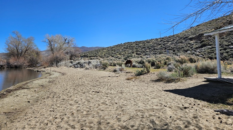 Site de pique-nique près d'une zone de pâturage sauvage, Nevada