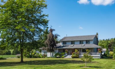 Raisons troublantes pour lesquelles vous ne devriez jamais planter ces 6 arbres dans votre jardin