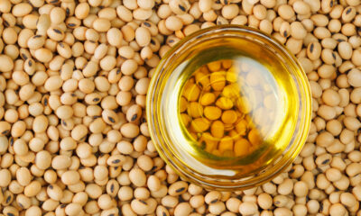 Les scientifiques affirment que cette huile de cuisson populaire pourrait augmenter votre risque d'obésité