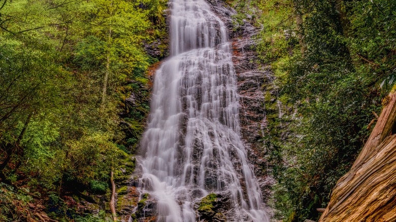 Mingo Falls entouré de forêt