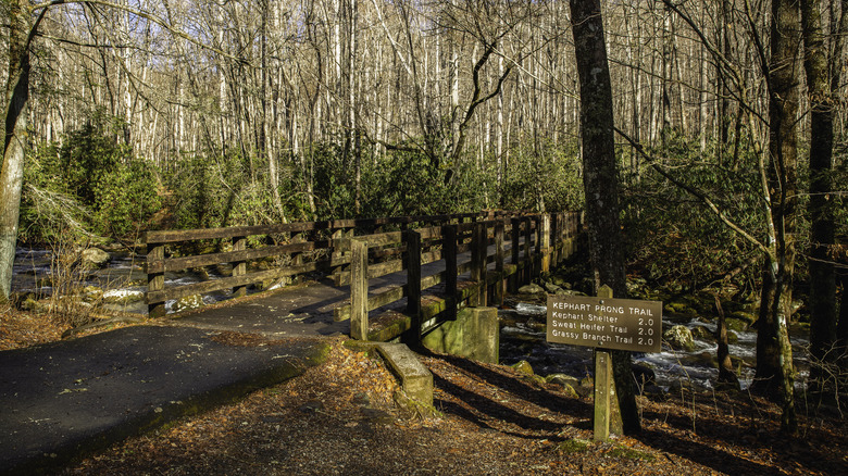 Un pont piétonnier traverse la rivière Oconoluftee sur le sentier Kephart Prong dans le parc national des Great Smoky Mountains