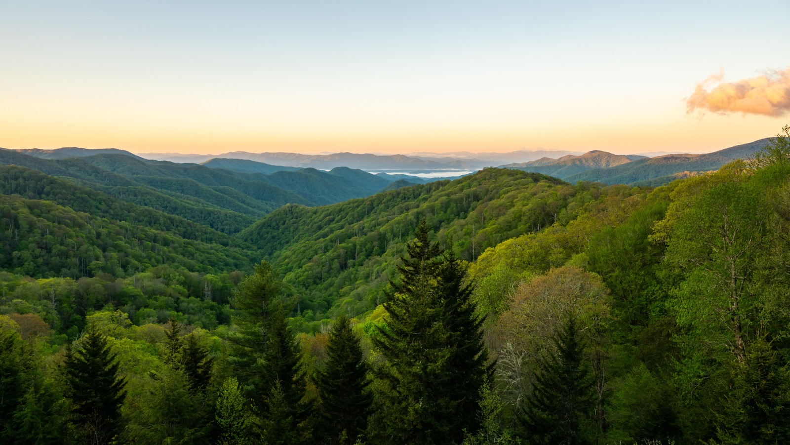 Cette cascade magique offre un lieu de randonnée pittoresque près du parc national des Great Smoky Mountain