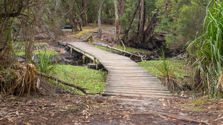 Passerelle au camping Refuge Cove - Wilsons Promontory, Victoria, Australie